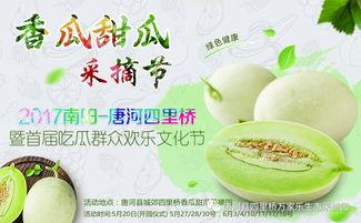 网红吃瓜大集,揭秘娱乐圈幕后风云