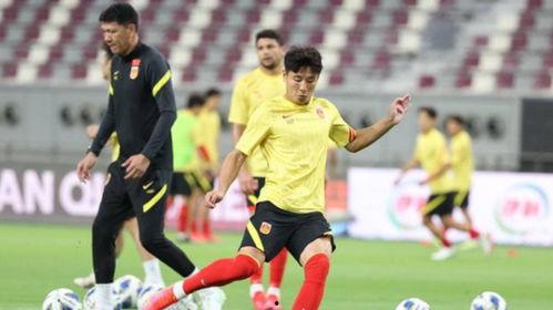 采访亚洲球员视频,镜头下的足球传奇