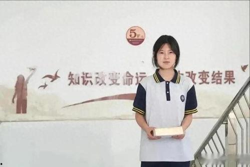 男人打女人视频欧美日韩,欧美日韩视角下的家庭暴力视频现象解析