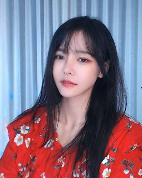 成人版豆奶视频直播